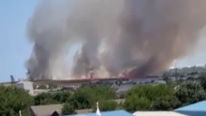 Incendiu de proporţii pe litoral. Pericol de extindere la locuinţe VIDEO