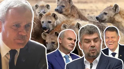 Liviu Dragnea revine în politică: „Nu voi înceta să lupt cu hienele și trădătorii de neam care pun România pe tava stăpânilor din afară!