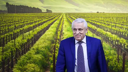 Planul ministrului Petre Daea pentru resuscitarea agriculturii din România: „Fiecare zi, fiecare oră contează!