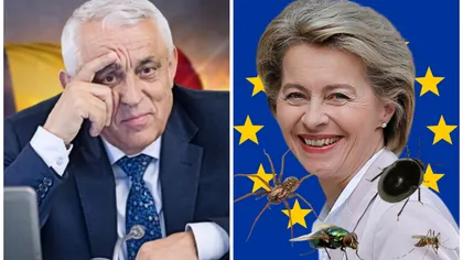 Petre Daea respinge planul Ursulei von der Leyen, de a impune insectele în meniul românilor: „Sub nicio formă!