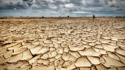 Europa de Vest, lovită de cea mai cruntă secetă din ultimii 1.200 de ani. În trei decenii există riscul să dispară viţa de vie din Spania şi Portugalia