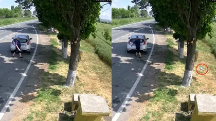 Șoferi filmați în timp ce aruncă gunoaie pe marginea drumului, amendați cu 30.000 de lei