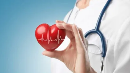 Primul model de inimă artificială a fost creat de cercetătorii de la Harvard