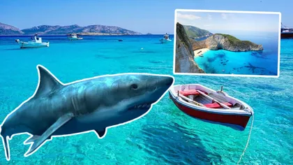 Momente de panică pe o insulă din Grecia. Un rechin uriaş apărut aproape de ţărm, mărturiile cutremurătoare ale turiştilor: 