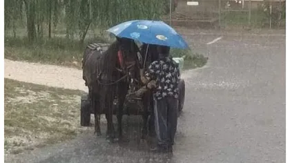 Şi-a protejat caii de ploaia torenţială cu umbrela. Gestul făcut de un bărbat din Piteşti a emoţionat o ţară întreagă. Imagini virale