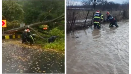 Furtunile au făcut ravagii în ţară. Pe Transfăgărăşan au căzut copaci, iar în Oltenia s-a produs o tornadă