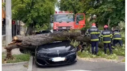 Maşină de peste 100.000 de euro făcută zob după ce pompierii au scăpat un copac peste ea: 
