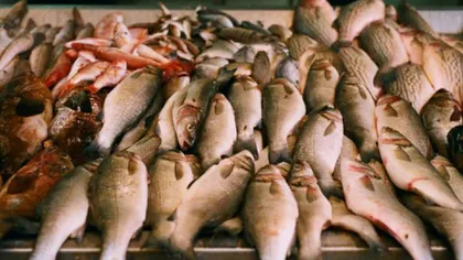 Peşte stricat, fructe de mare stricate şi produse expirate, descoperite de ANPC în Piaţa Obor şi la comercianţii din Veranda Mall