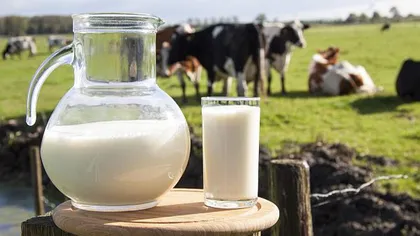 Drama fără margini a fermierilor români. Laptele a ajuns să fie mai ieftin ca apa: 