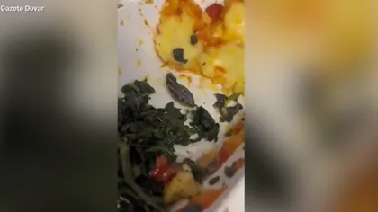 Ce ciudățenie a găsit în farfuria cu mâncare un călător în timpul unui zbor cu avionul VIDEO