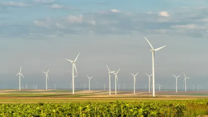 Avantajul avertizărilor de vânt puternic: Eolienele produc peste 40% din energia țării