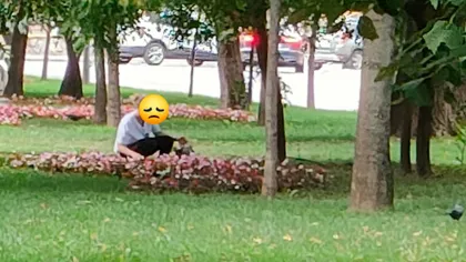 Cu BMW-ul la furat de flori în centrul Craiovei. Tânără surprinsă în timp ce smulgea plantele cu tot cu rădăcină şi le băga în porbagajul bolidului