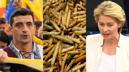 Proiect depus la Parlament. Partidul AUR solicită interzicerea producerii și a comercializării insectelor în România, în scop alimentar