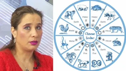 HOROSCOP chinezesc. Ce surprize are Luna Câinelui. Astrologul Anca Dimancea prezintă zodiacul chinezesc pentru octombrie 2022