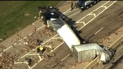 VIDEO: Mii de jucării sexuale, împrăștiate pe autostradă, după ce un camion s-a răsturnat, în plină zi