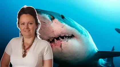 După cazul Roxanei, românca ucisă de rechin în Egipt, o nouă tragedie a avut loc. Momentul a fost privit cu groază de familie și de oamenii de pe plajă