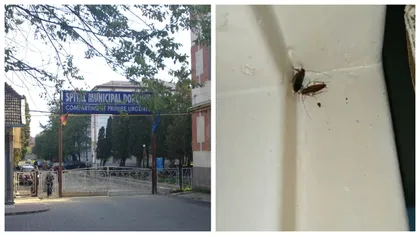 Dezastru într-un spital de copii din Botoșani. Gândacii mișună prin paturile în care stau mame cu copii