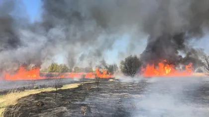 Incendiu pe zeci de hectare în Delta Dunării. Pompierii nu pot interveni