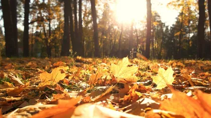 PROGNOZA METEO 24 octombrie. Zile de sfârşit de vară, temperaturile urcă până la 27 de grade, inclusiv în Bucureşti