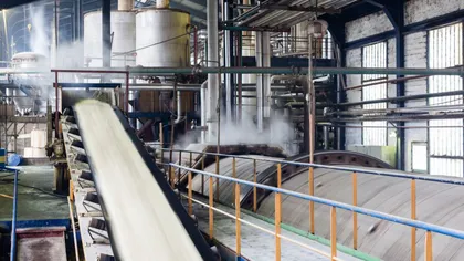 Fabrica de Zahăr Bod reia producţia de zahăr din culturile de sfeclă de zahăr din România