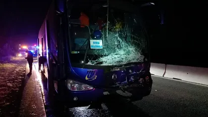 Accident pe DN 1. Un autocar cu 43 de copii a lovit un taur. ISU Prahova intervine cu mai multe autospeciale FOTO