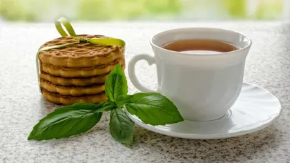 Ceaiul de busuioc, remediu pentru afecțiunile respiratorii. Beneficiile și contradicțiile acestuia