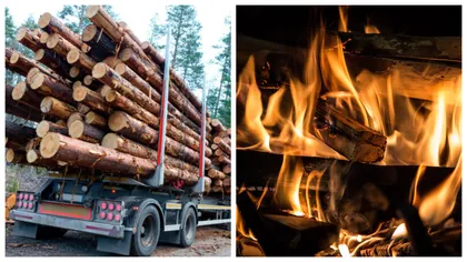 Bătaie de joc! Romsilva dublează artificial prețul lemnului de foc, spune Cătălin Tobescu: ”Sunt mult mai mari decât cele de pe piața europeană”