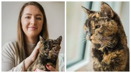 Ea este oficial cea mai bătrână pisică din lume. Povestea fascinantă a felinei care a intrat în Cartea Recordurilor
