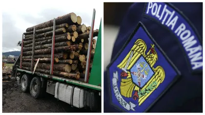 Ce tupeu! Polițiștii din Suceava cer să fie motivați să își facă treaba. Oamenii legii vor un procent din valoarea lemnului pe care îl confiscă în trafic