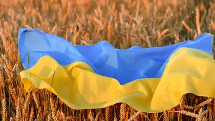 România va solicita UE să extindă interdicţia pentru importul de cereale ucrainene dincolo de 15 septembrie