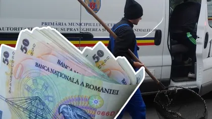 Cât câștigă un hingher în România? Oamenii sunt sfâșâiați pe străzi de câinii maidanezi, iar ei se îmbogățesc