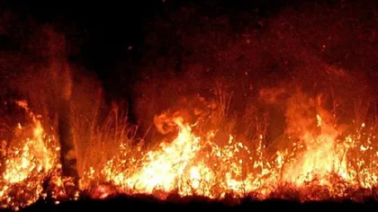Incendiu violent în Giurgiu: 2.000 de metri pătraţi de vegetaţie, în flăcări VIDEO