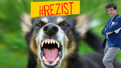 Mare scandal! Acuzații grave în cazul femeii ucise în București, de câini: „Dacă primarul e #Rezist, nimeni nu mai protestează!
