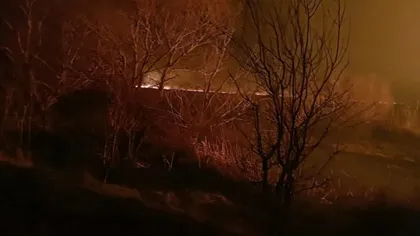 Incendiu puternic în Delta Dunării: ard sute de hectare de papură şi stuf VIDEO