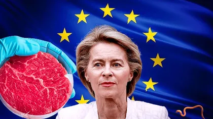 Revoltă la nivelul UE, după ce Bruxellesul a anunțat că e gata să aprobe carnea artificială, după insecte: „Democrația economică e pusă în pericol!