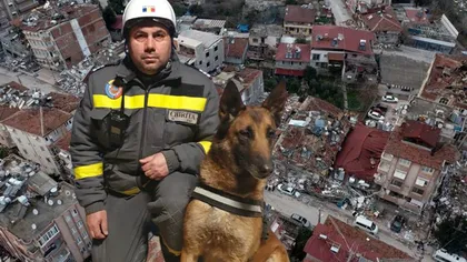O zi din viaţa lui Speedy, câinele care salvează vieţi în Turcia: 