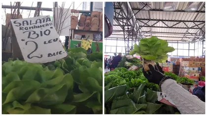 O nouă invenție ingenioasă pe piețele românești: salată verde la ghiveci. „Este și mult mai gustoasă decât dacă ar fi tăiată”