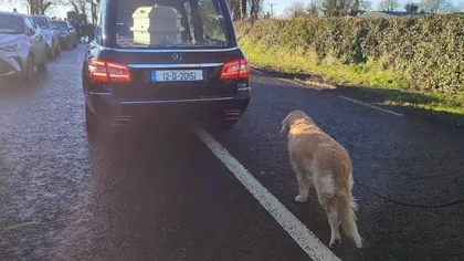 Imagini emoționante! Un câine și-a condus stăpâna pe ultimul drum. 