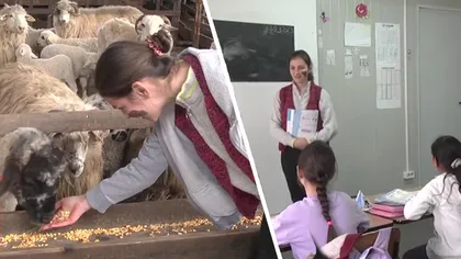O tânără învățătoare din Sibiu devine ciobăniță în fiecare zi, după ore. Cum reușește Maria să fie dascăl și fermier în același timp