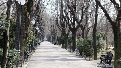 Prognoza meteo 8 martie. Termometrele vor indica până la 20 de grade de Ziua femeii. Unde va ploua