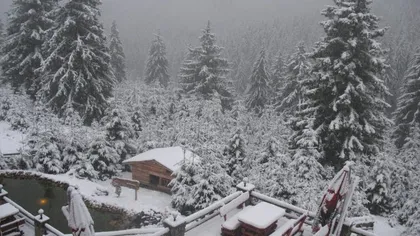 Prognoza meteo 16 martie. Se întoarce iarna în România. Va ninge și se va depune strat de zăpadă la munte, ploi în rest