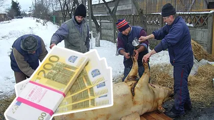Vouchere 2023 pentru porc de Crăciun. Românii care pot primi tichet de 200 de euro de la ANSVSA