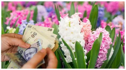 Ziua Internațională a Femeii. Zambila, cea mai căutată floare de 8 Martie. Prețurile au crescut și cu 30%, față de anul trecut