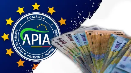 Verificaţi cardurile, Guvernul a anunţat plata sumelor! Sunt vizaţi 660.000 de români