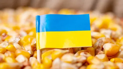 România, noi reguli cu privire la cerealele din Ucraina. Acestea vor fi sigilate pe perioada tranzitării țării și vor avea loc controale vamale