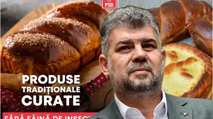 Produsele tradiţionale româneşti NU vor conţine făină de insecte. Marcel Ciolacu: 