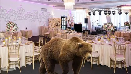 Urs, invitat neașteptat la o nuntă în Argeș. Un nuntaș a fost la un pas de a-și pierde viața din cauza animalului