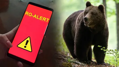 S-a emis mesaj RO-ALERT în județul Neamț. A fost semnalată prezența unui urs în stațiunea Durău