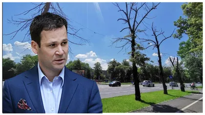 Robert Negoiță tună și fulgeră! Primarul Sectorului 3 acuză un nou sabotaj și a depus plângere la poliție. ”Mai mulţi oameni răi, ticăloşi, au pus soluţie la rădăcina copacilor”