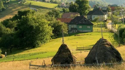 Un român din diaspora care vrea să se mute la sat, în România, le cere celor care au case de vânzare să nu mai fie lacomi: „Fac un apel la discernământ!”